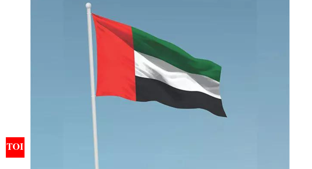 UAE's Ali Rashid Al Nuaimi meets Brazil and Belarus leaders to boost bilateral cooperation and strategic ties | World News