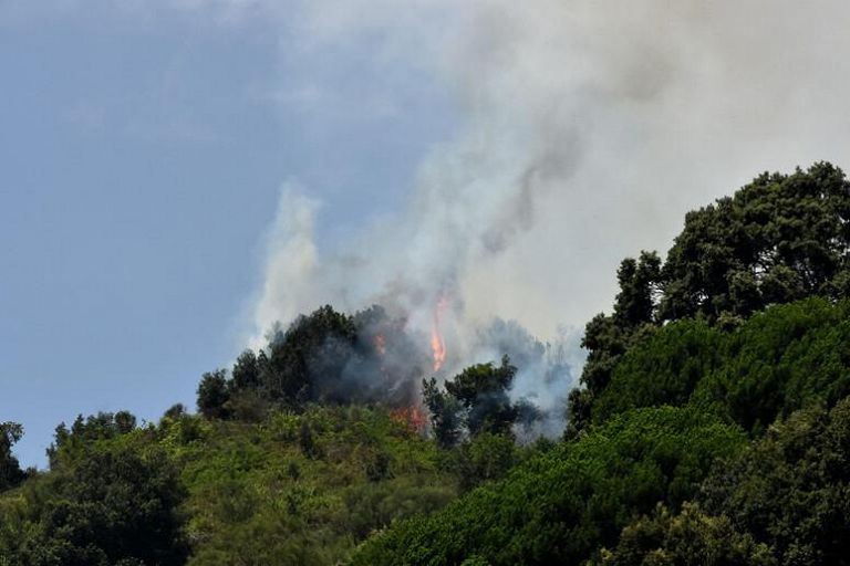 Incendi in Sicilia
