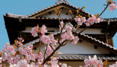 I Planned Our Trip to Japan Almost By Accident