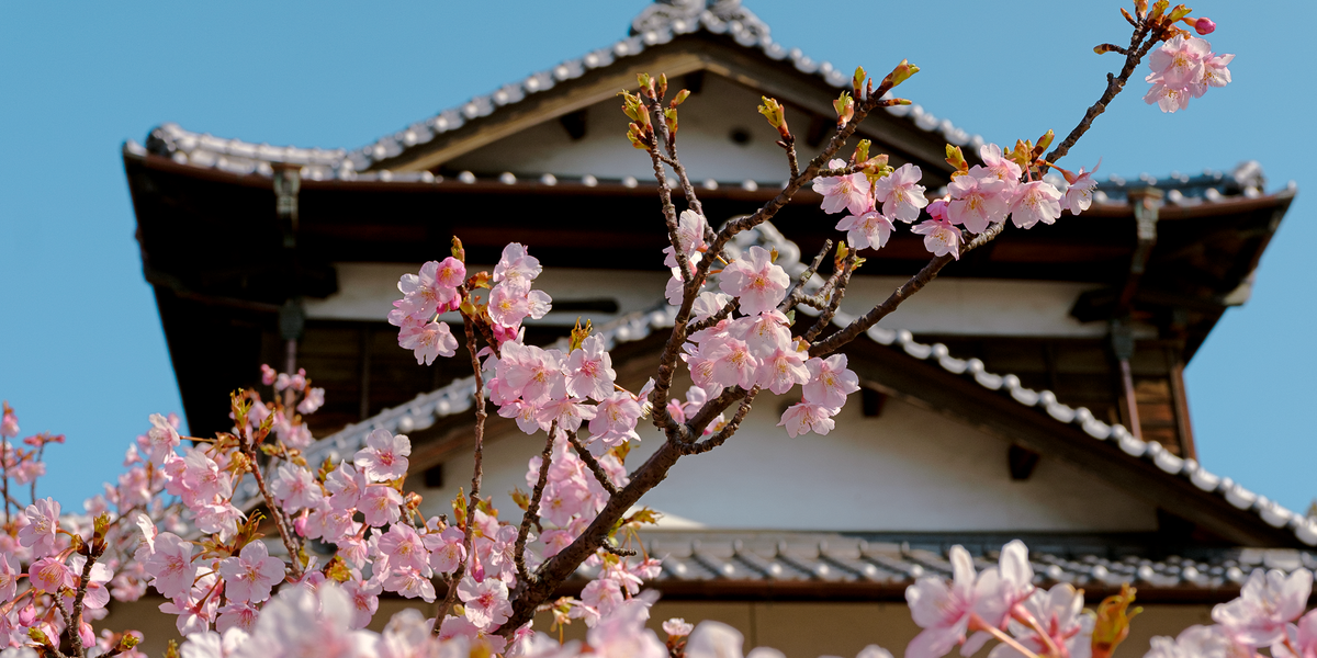 I Planned Our Trip to Japan Almost By Accident