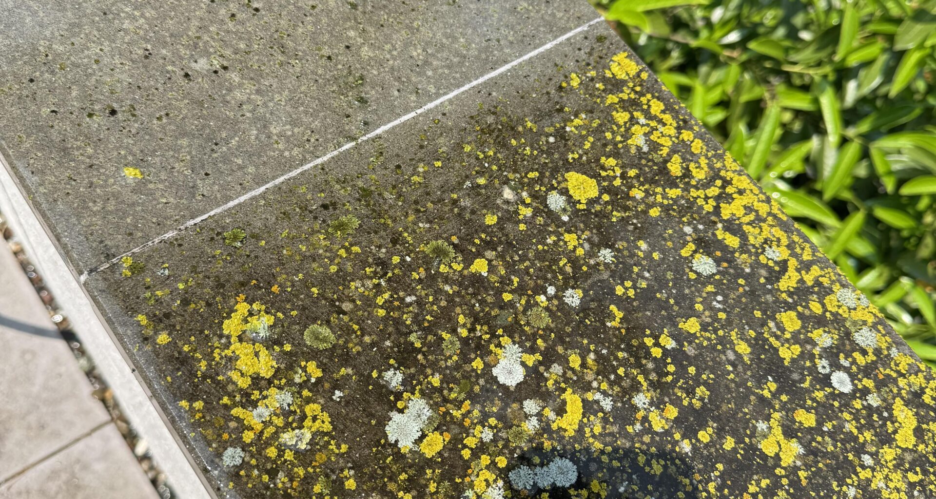 Umweltfreundliches Hausmittel für Reinigung von Naturstein?