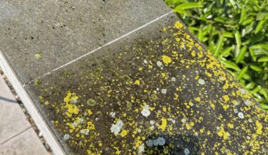 Umweltfreundliches Hausmittel für Reinigung von Naturstein?