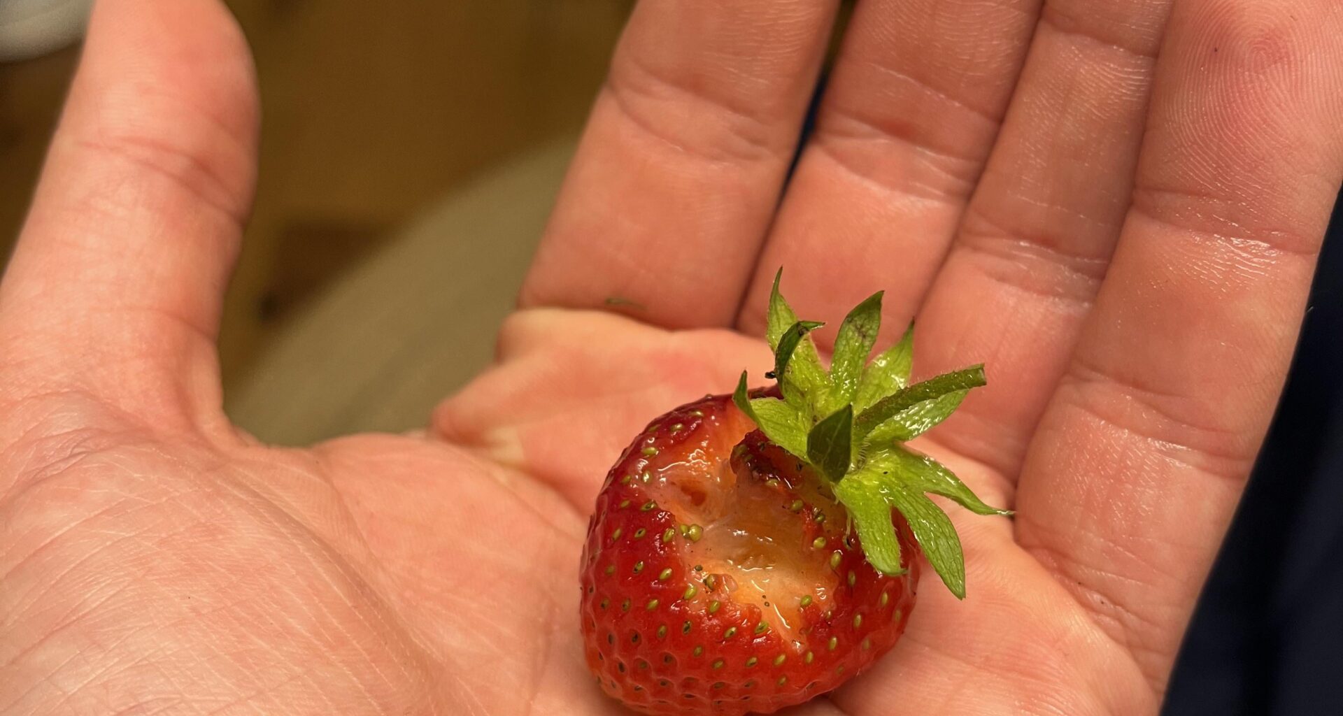 Was frisst hier meine Erdbeeren?