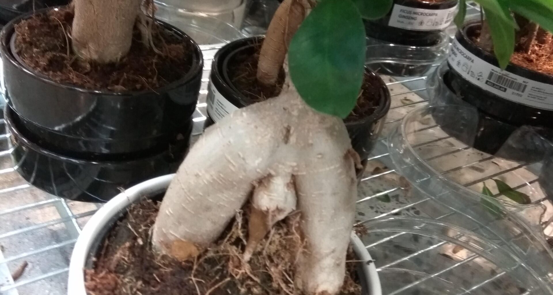 saw this in ikea.. its not just me right lads?