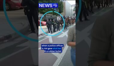 Journalist hit with rubber bullet at anti-ICE protest in LA | DW News