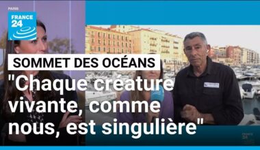 François Sarano : "Chaque créature vivante, comme nous les humains, est singulière" • FRANCE 24