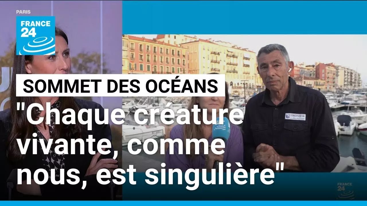 François Sarano : "Chaque créature vivante, comme nous les humains, est singulière" • FRANCE 24