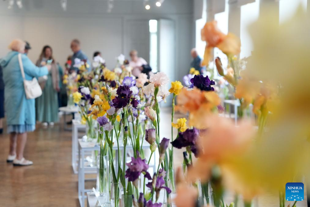 Exhibition "Irises 2025" kicks off in Riga, Latvia-Xinhua