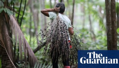 How to save the Amazon part two: the magic and mystery – podcast | Amazon rainforest