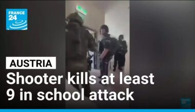 Shooter kills at least nine in attack on Austrian school • FRANCE 24 English