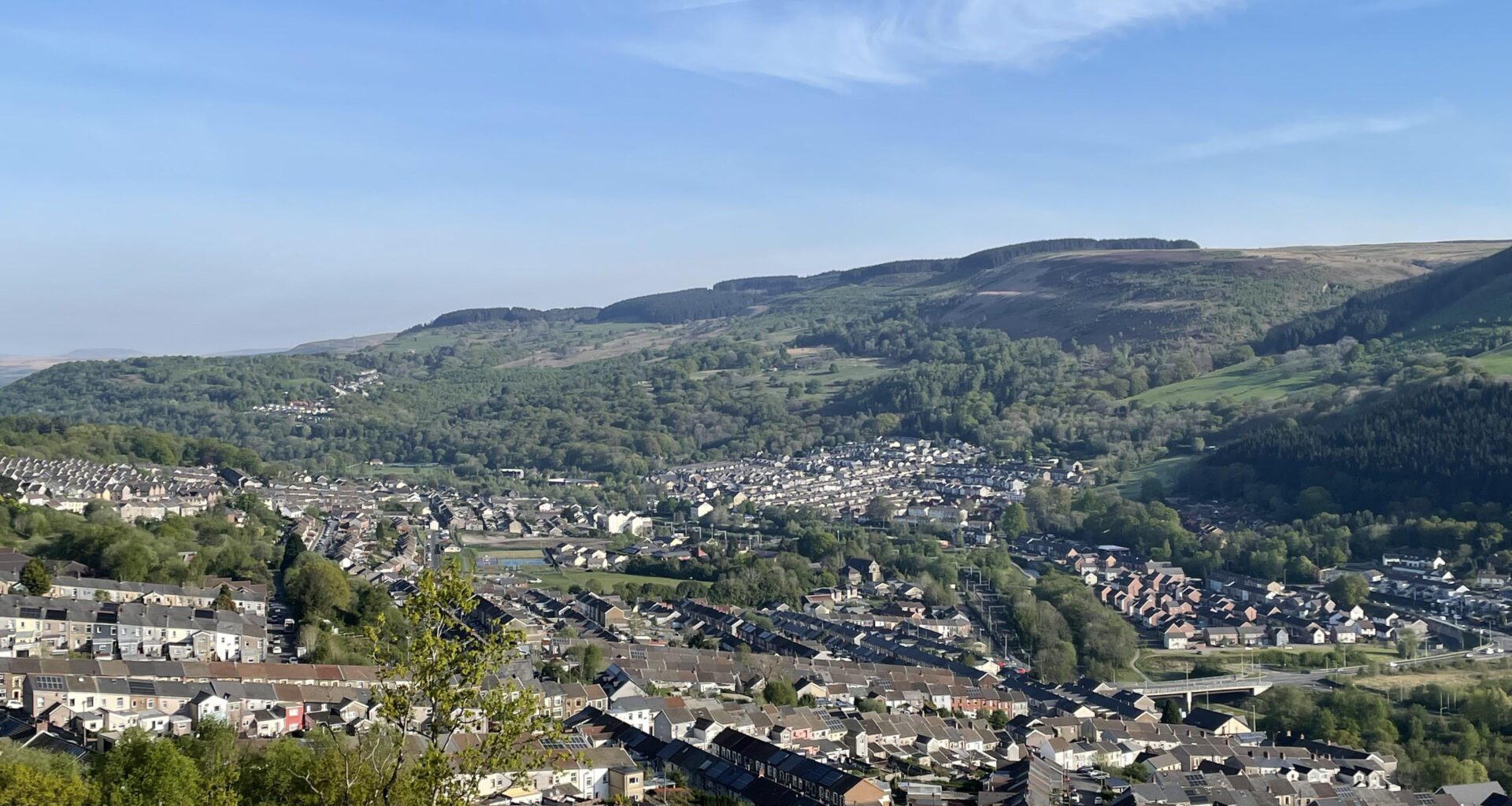 My view as I walk to work. (Mountain Ash)