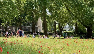 London Fields today