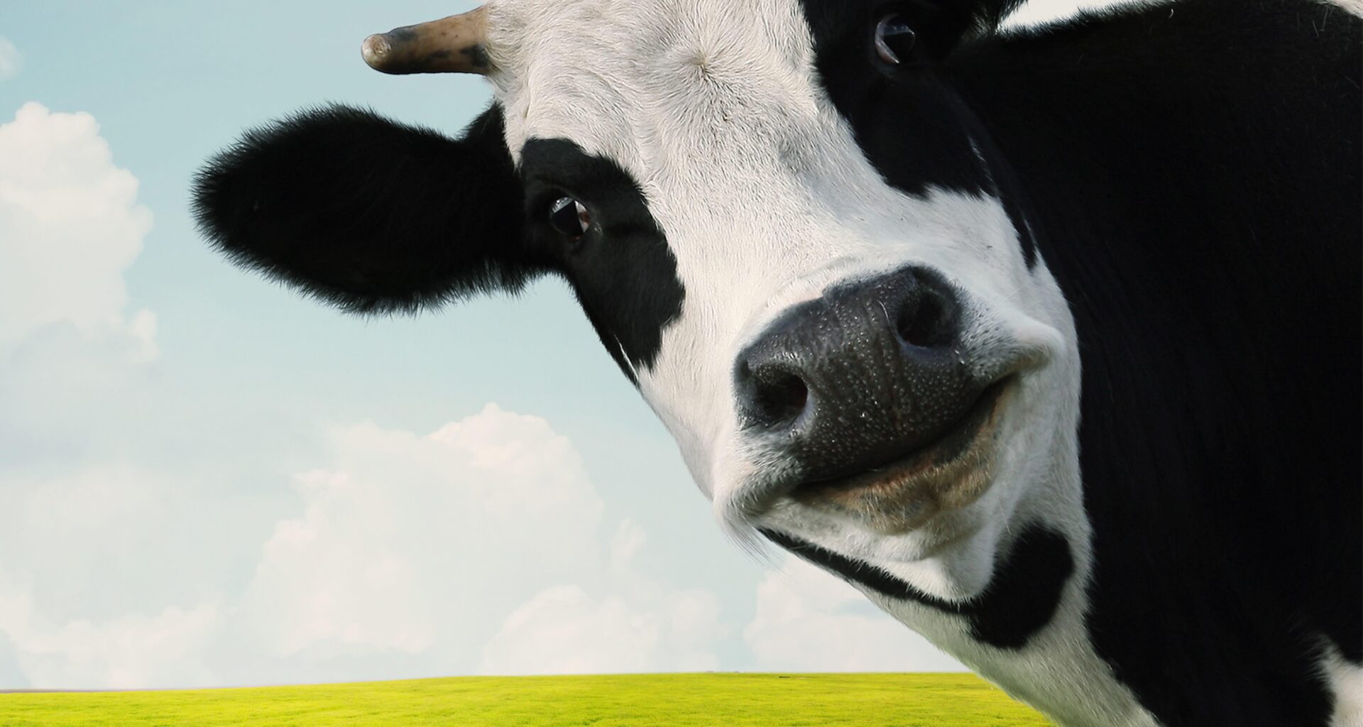 Super Pollutants: The Hidden Half of Global Warming