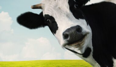 Super Pollutants: The Hidden Half of Global Warming