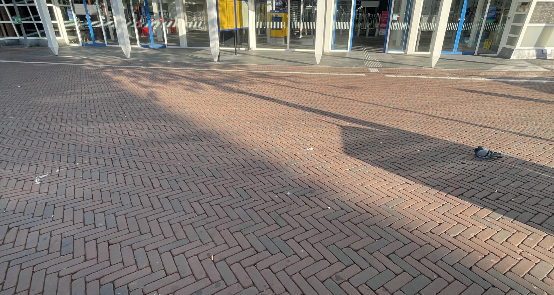 Goedemorgen, een tandenborstel gespot nabij Leiden Centraal