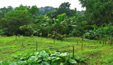 Real-world return on climate adaption investments wildly underestimated, report finds | NEWS
