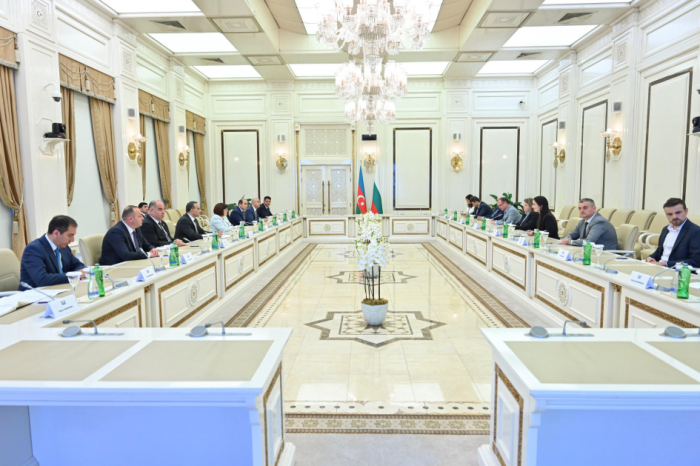 Azerbaijan, Bulgaria discuss inter-parliamentary relations