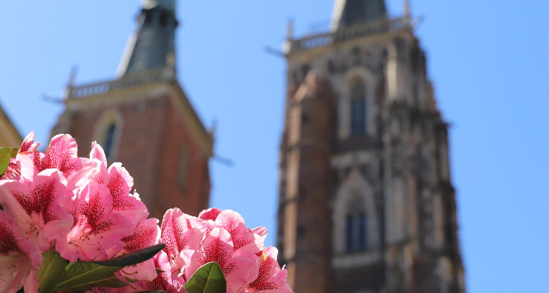 Wroclaw cathedral