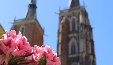 Wroclaw cathedral
