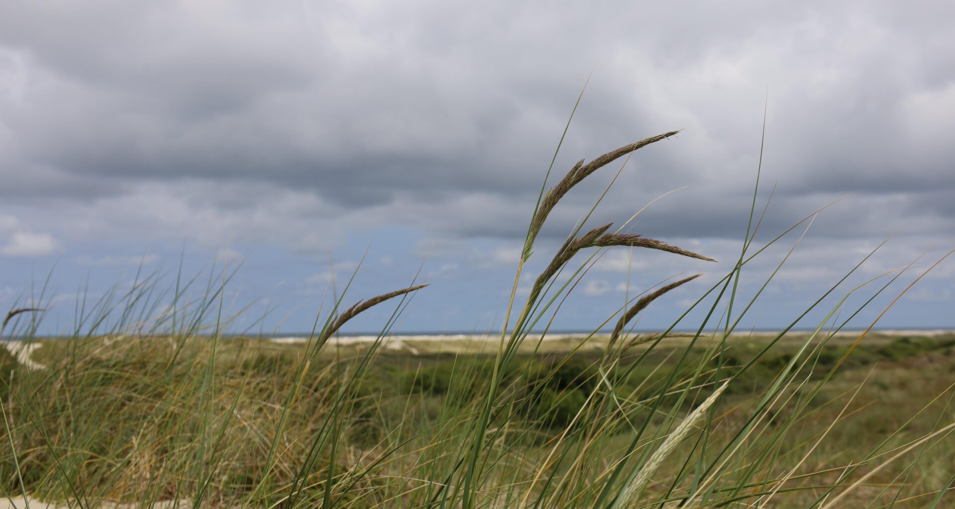 An der Nordseeküste