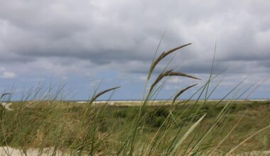 An der Nordseeküste
