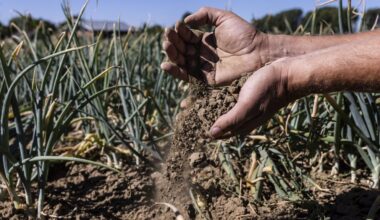 Nederland moet groots dromen over meeveranderen met klimaat