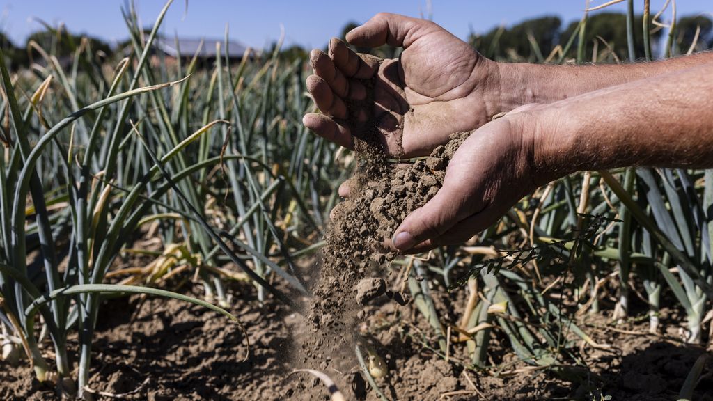 Nederland moet groots dromen over meeveranderen met klimaat