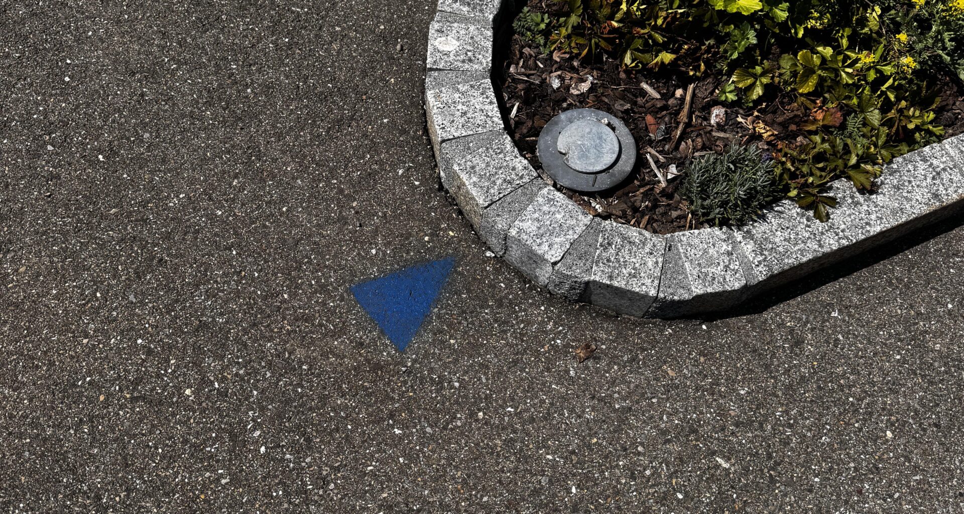 Does anyone know what these are blue arrows are? I see them all over my town. Thanks in advance 😁