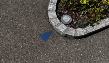 Does anyone know what these are blue arrows are? I see them all over my town. Thanks in advance 😁