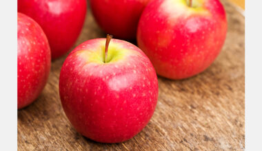 Moldova’s apple exports in May surpass expectations