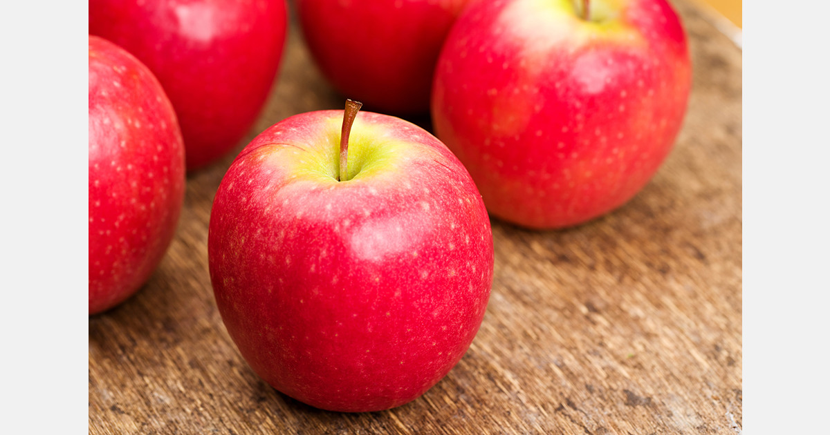 Moldova’s apple exports in May surpass expectations