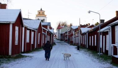 Sweden sounds the alarm on loneliness