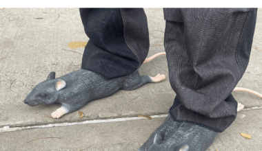 Des Schuhmachers Nagetiere