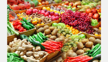 Vietnam focuses on technology and quality to sustain fruit and vegetable exports