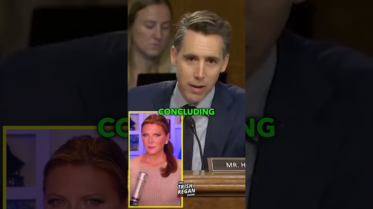 Hawley Shreds Dems For This