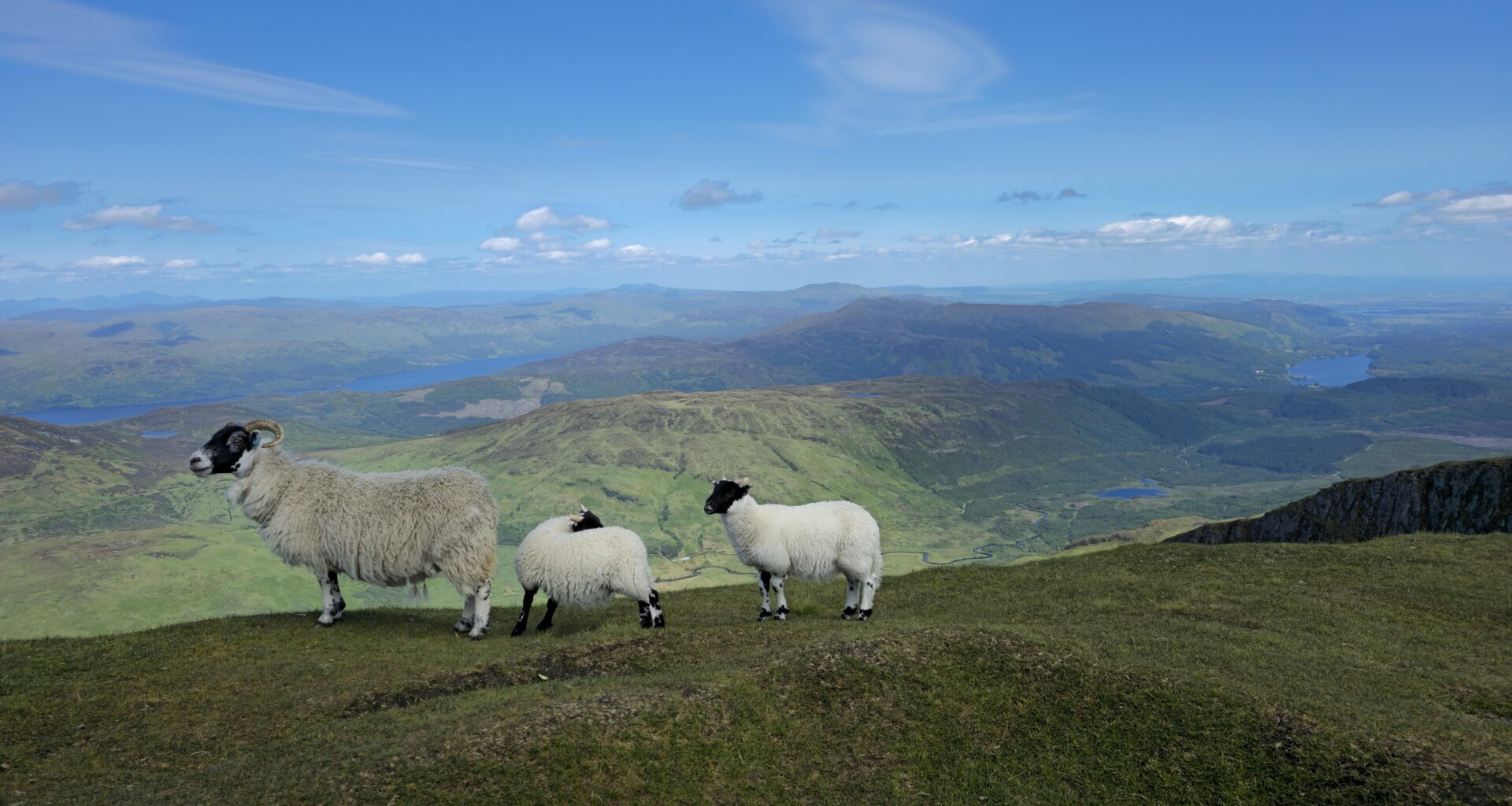 My favorite picture of our last Scotland trip on top of Ben Lomond