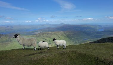 My favorite picture of our last Scotland trip on top of Ben Lomond