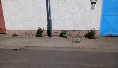 Et voila