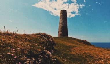 Tower (OC)
