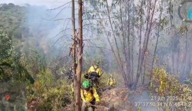 La Junta eleva el Plan Infoca a fase de emergencia por un incendio forestal en Zalamea la Real