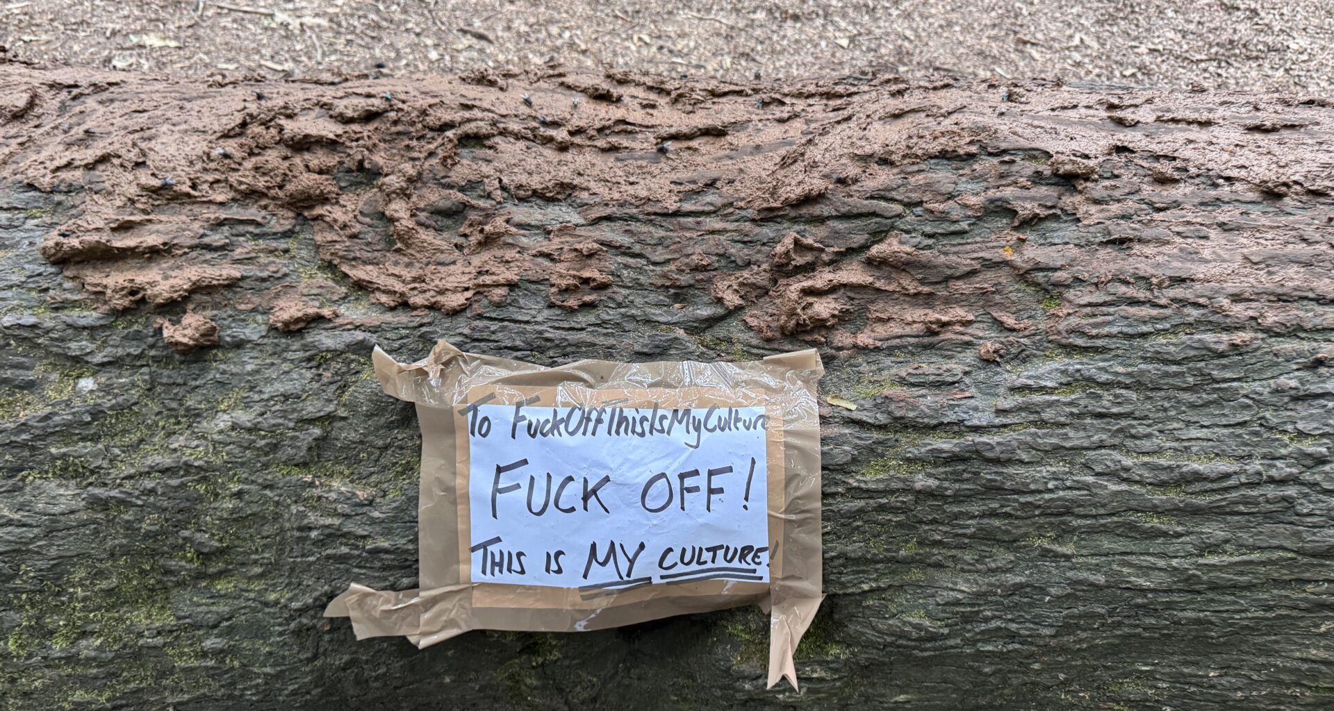 Hampstead Heath - shit just got real
