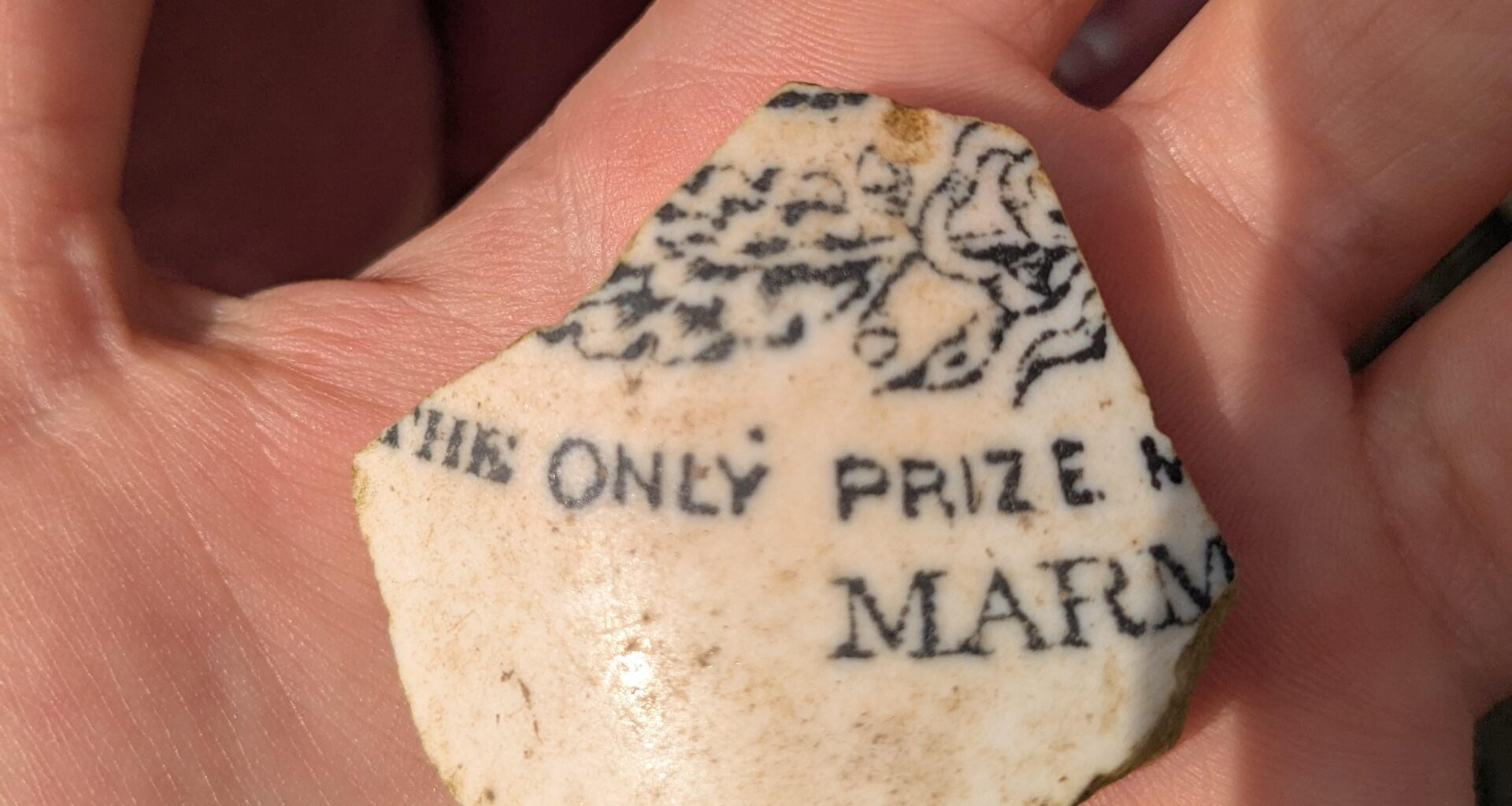 Found this piece of pottery