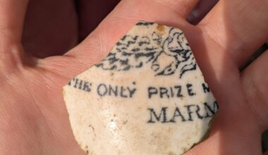Found this piece of pottery