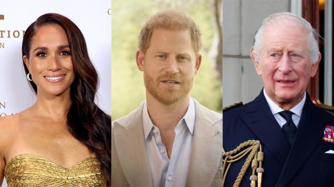 Will Prince Harry & Meghan Markle Divorce For King Charles?