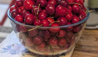 We have a cherry tree in our garden. This our first crop since we moved here a year ago. Recipes anyone?