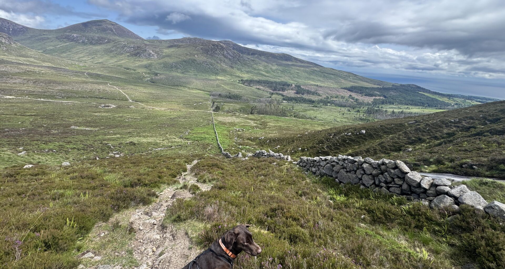 We do have a fairly beautiful country (once the violent winds and rain stopped)