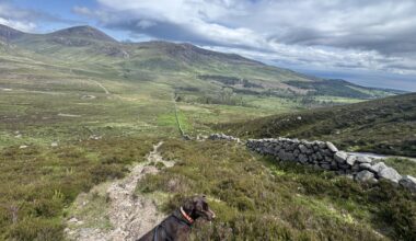 We do have a fairly beautiful country (once the violent winds and rain stopped)