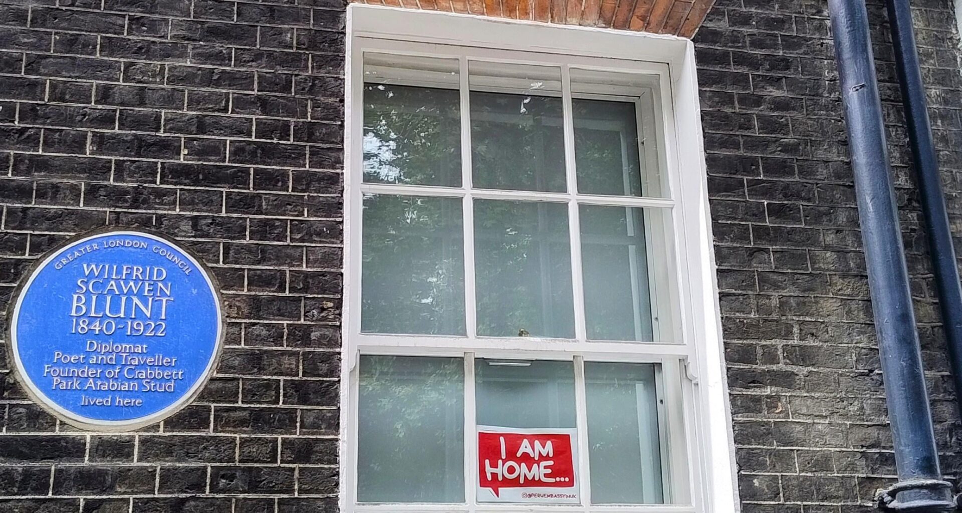 Paddington in the Peruvian Embassy window 🐻🍊🥪🇵🇪