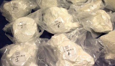 Drug mules recruited online to smuggle cocaine into Iceland