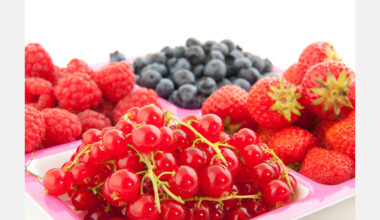 Moldova boosts berry production and consumption amid export growth